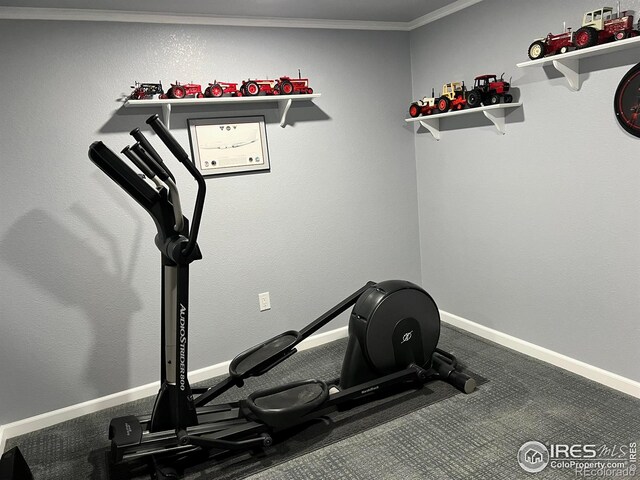 4652 W 21st Street Rd Unit D, Greeley, CO 80634
