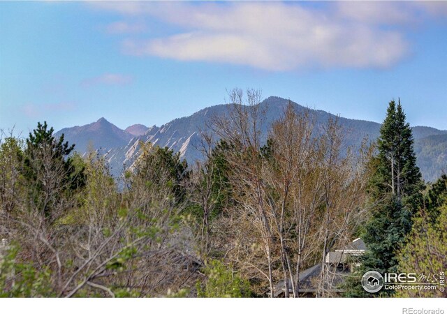 1460 Quince Ave Unit S102, Boulder, CO 80304 - mountain view