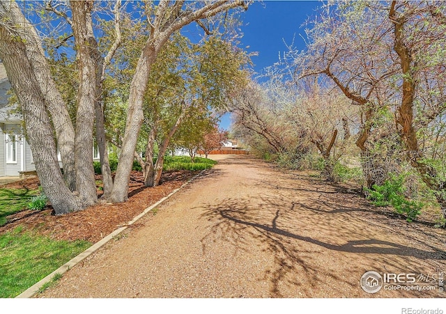 807 Collins St, Eaton, CO 80615 - view of street featuring dirt driveway