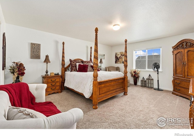 4355 24th Street Rd Unit 202, Greeley, CO 80634 - bedroom featuring baseboards and light carpet