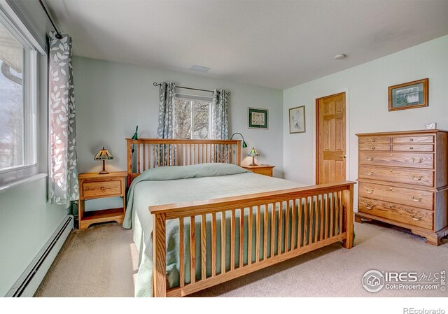 4809 S County Road 3f, Fort Collins, CO 80528 - photo 11