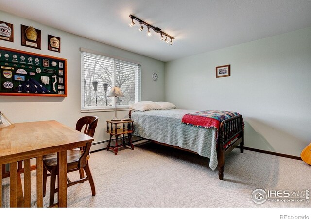 4809 S County Road 3f, Fort Collins, CO 80528 - photo 18