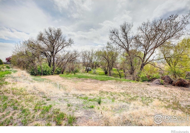 4809 S County Road 3f, Fort Collins, CO 80528 - photo 29