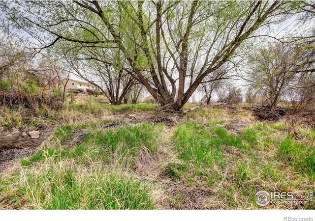 4809 S County Road 3f, Fort Collins, CO 80528 - photo 31