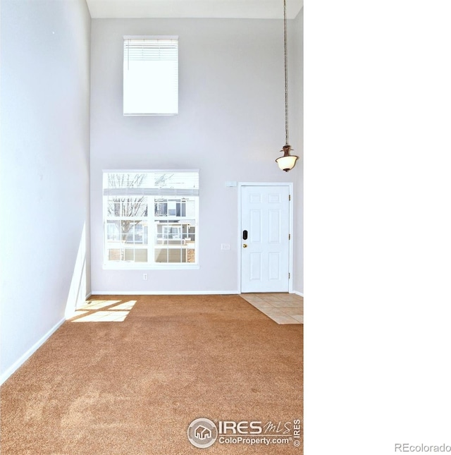 2203 Copper Creek Dr Unit D, Fort Collins, CO 80528 - entrance foyer featuring carpet flooring, a high ceiling, and baseboards