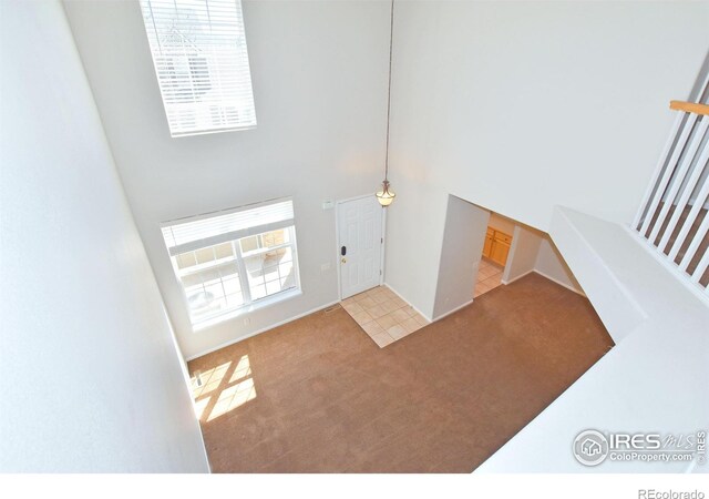 2203 Copper Creek Dr Unit D, Fort Collins, CO 80528 - carpeted entryway featuring a high ceiling