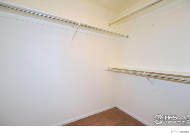 2203 Copper Creek Dr Unit D, Fort Collins, CO 80528 - spacious closet with carpet flooring