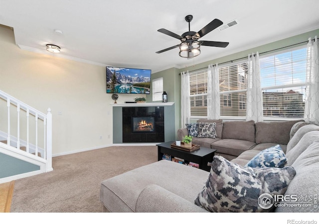 12820 King St, Broomfield, CO 80020 - carpeted living room with ornamental molding, a fireplace, baseboards, a ceiling fan, and stairs