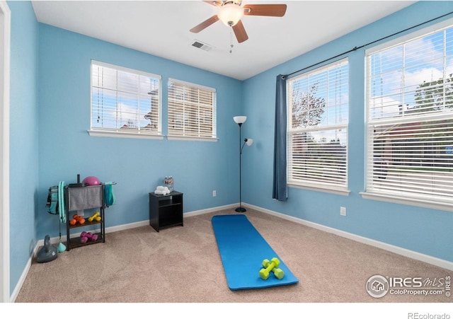12820 King St, Broomfield, CO 80020 - exercise room with a ceiling fan, carpet flooring, plenty of natural light, and baseboards