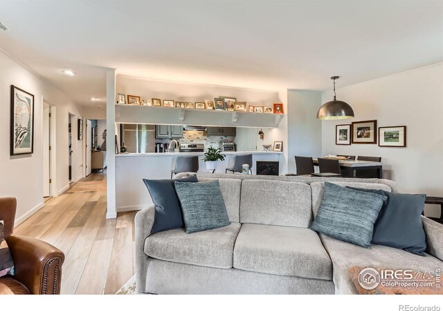 4475 Laguna Pl Unit 206, Boulder, CO 80303 - living room featuring light wood finished floors