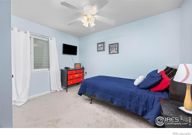 3760 Barnard Ln, Johnstown, CO 80534 - photo 22