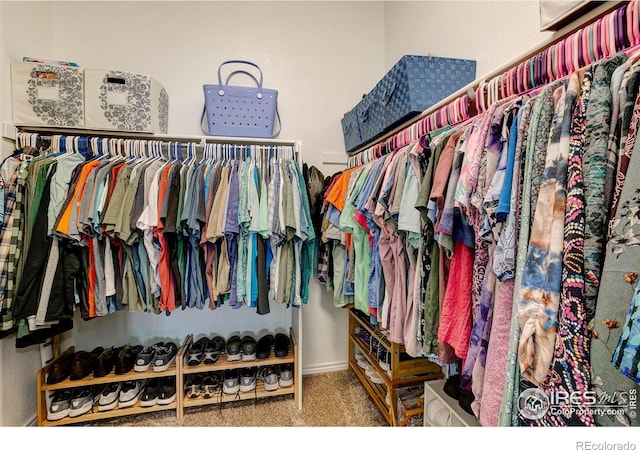 14394 W 88th Dr Unit C, Arvada, CO 80005 - spacious closet with carpet flooring
