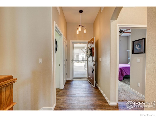 14394 W 88th Dr Unit C, Arvada, CO 80005 - foyer entrance featuring baseboards, arched walkways, ceiling fan, and dark wood-style floors