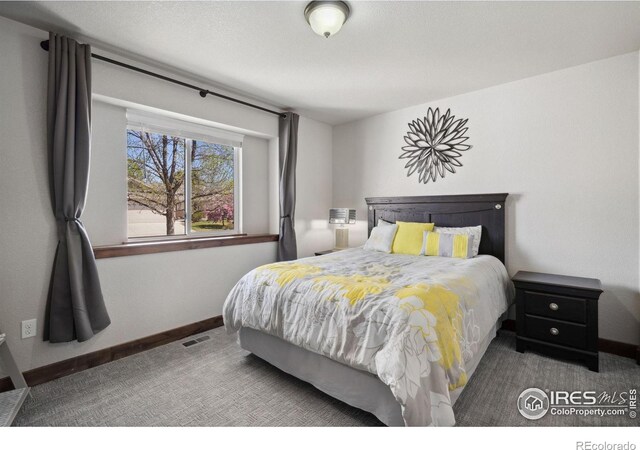 1576 La Jara St, Loveland, CO 80538 - photo 16