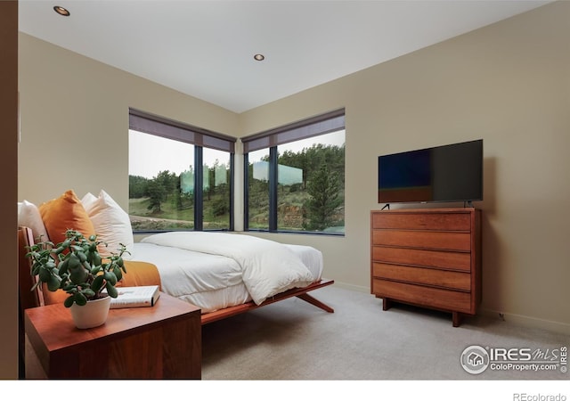 451 Red Gulch Rd, Lyons, CO 80540 - bedroom featuring recessed lighting, baseboards, and light colored carpet