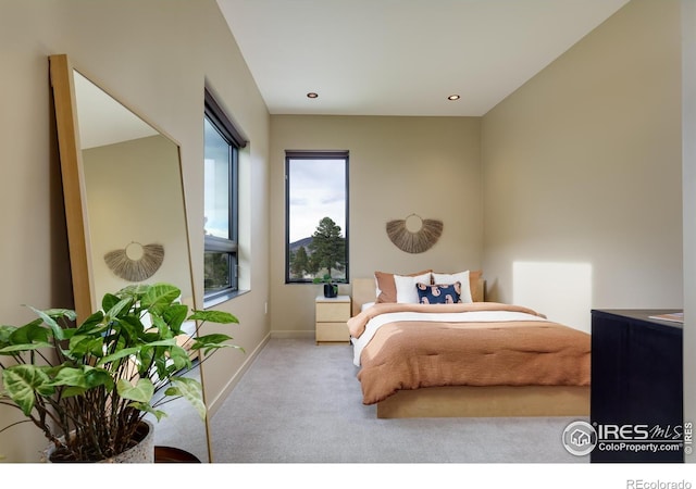 451 Red Gulch Rd, Lyons, CO 80540 - bedroom with carpet floors, recessed lighting, and baseboards