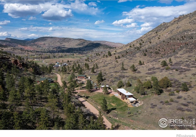 451 Red Gulch Rd, Lyons, CO 80540 - property view of mountains
