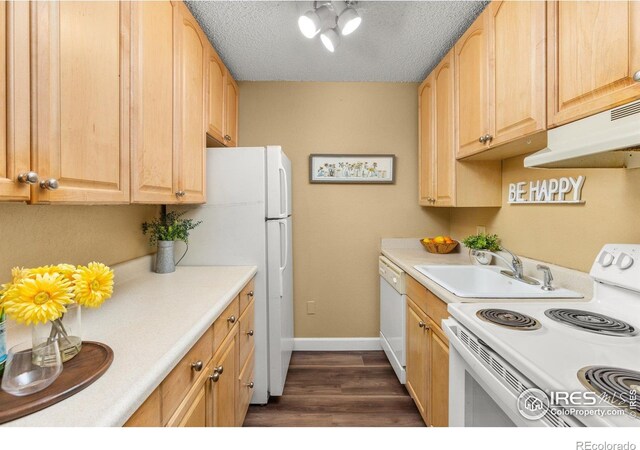 kitchen with a sink, baseboards, dark wood-style floors, under cabinet range hood, and white appliances