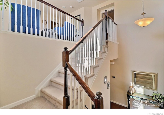 2927 Percheron Dr, Fort Collins, CO 80525 - stairway with baseboards, carpet, and a towering ceiling