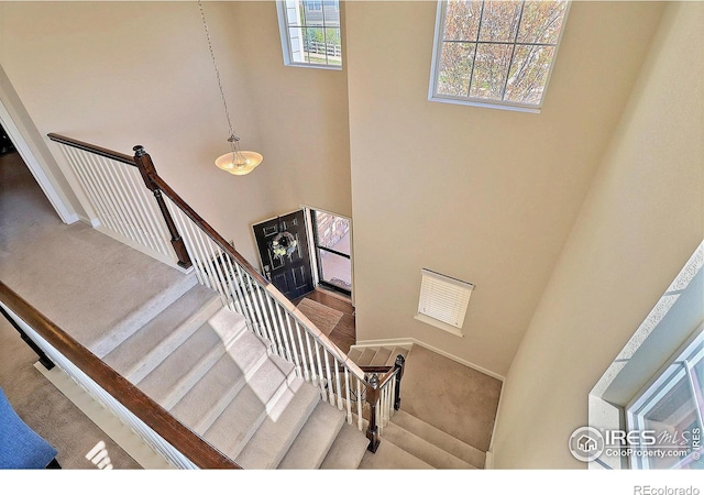 2927 Percheron Dr, Fort Collins, CO 80525 - stairway with carpet and a towering ceiling
