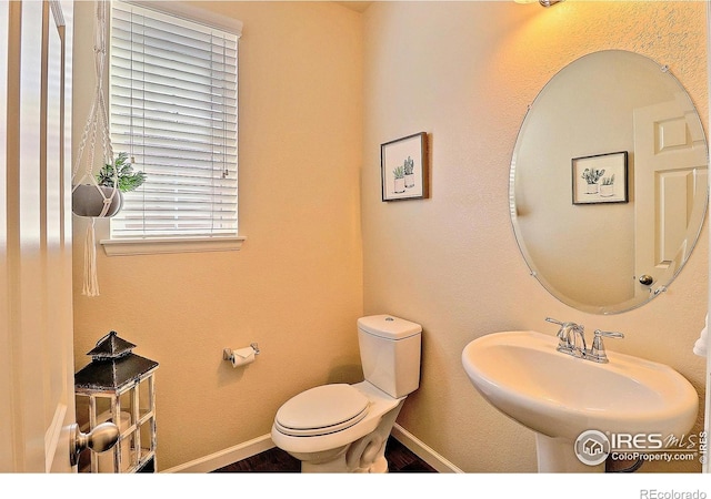 2927 Percheron Dr, Fort Collins, CO 80525 - half bath featuring a sink, baseboards, and toilet