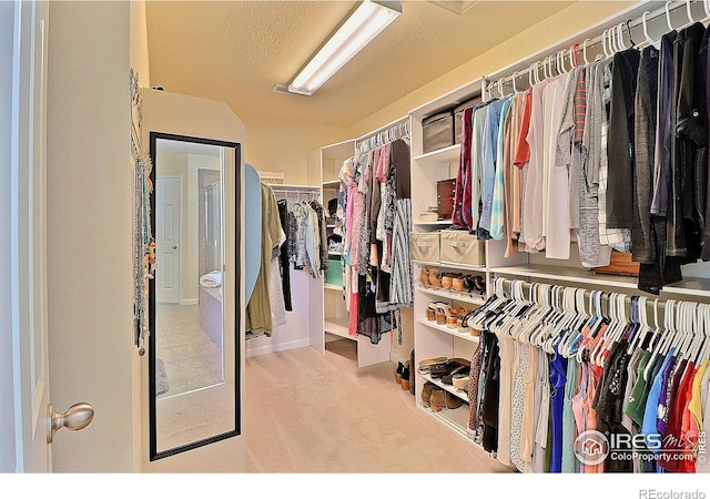 2927 Percheron Dr, Fort Collins, CO 80525 - spacious closet featuring carpet floors