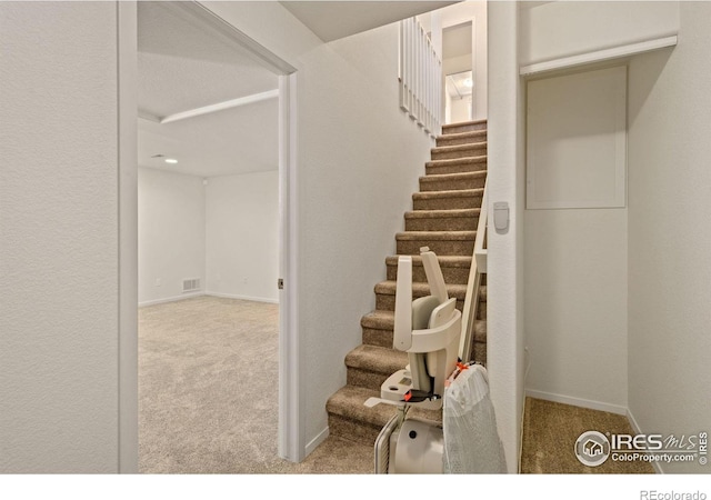 1532 Corydalis Ct, Fort Collins, CO 80526 - staircase featuring carpet flooring and baseboards