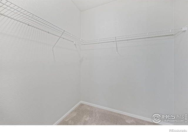 4672 Clear Creek Dr, Longmont, CO 80504 - spacious closet with light colored carpet