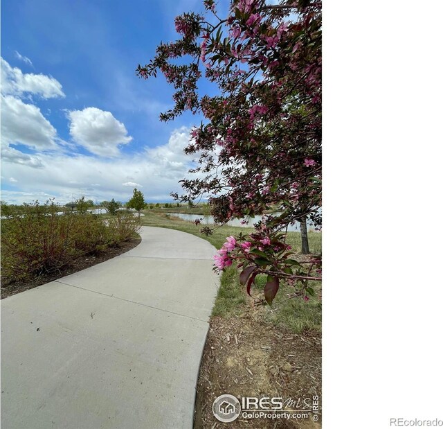 4672 Clear Creek Dr, Longmont, CO 80504 - view of home's community