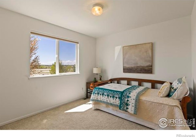 6117 Gold Dust Rd, Timnath, CO 80547 - bedroom with carpet and baseboards