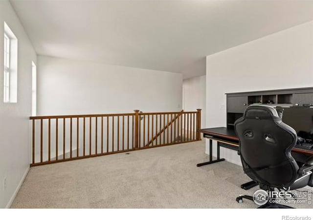 6117 Gold Dust Rd, Timnath, CO 80547 - office with carpet flooring
