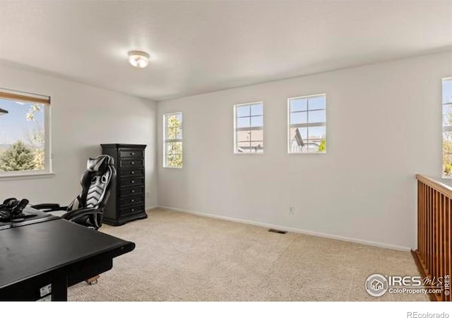 6117 Gold Dust Rd, Timnath, CO 80547 - carpeted office space with baseboards