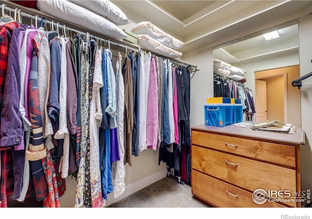 5775 29th St Unit 101, Greeley, CO 80634 - spacious closet featuring carpet flooring
