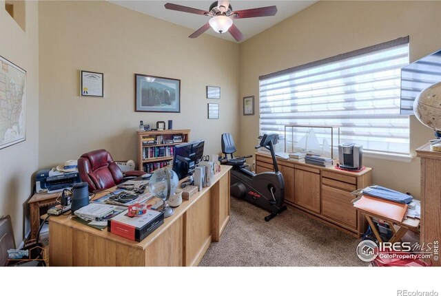 office featuring a ceiling fan and light carpet