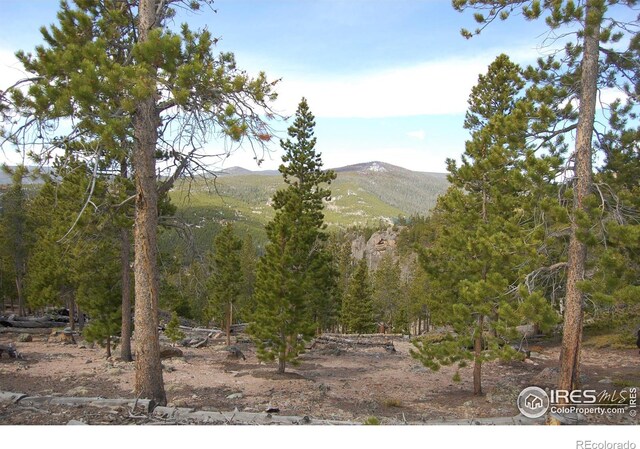 97 Dogrib Ct, Red Feather Lakes, CO 80545