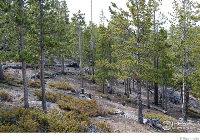 97 Dogrib Ct, Red Feather Lakes, CO 80545