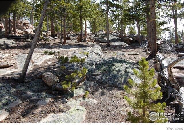 97 Dogrib Ct, Red Feather Lakes, CO 80545