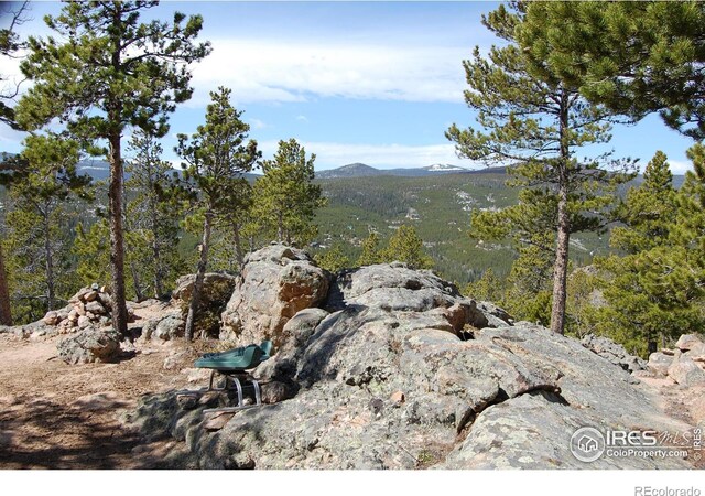 97 Dogrib Ct, Red Feather Lakes, CO 80545
