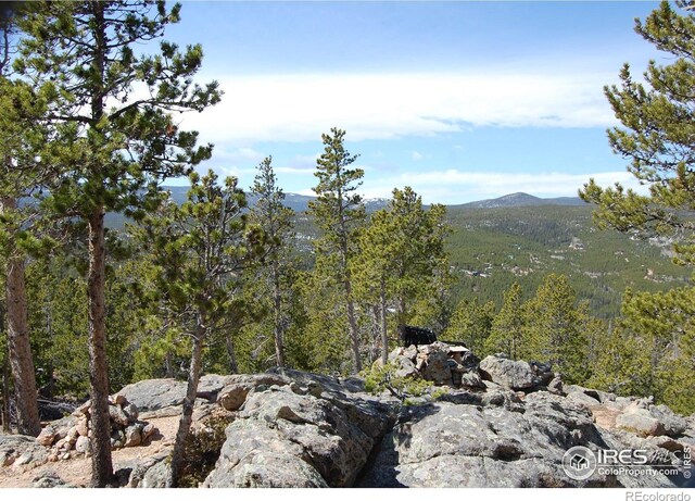97 Dogrib Ct, Red Feather Lakes, CO 80545
