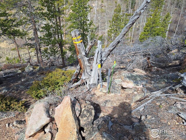 97 Dogrib Ct, Red Feather Lakes, CO 80545