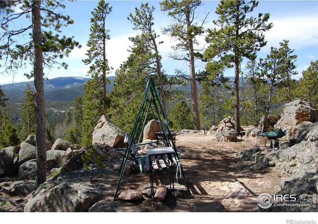 97 Dogrib Ct, Red Feather Lakes, CO 80545