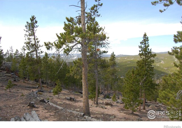 97 Dogrib Ct, Red Feather Lakes, CO 80545