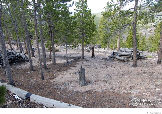 97 Dogrib Ct, Red Feather Lakes, CO 80545