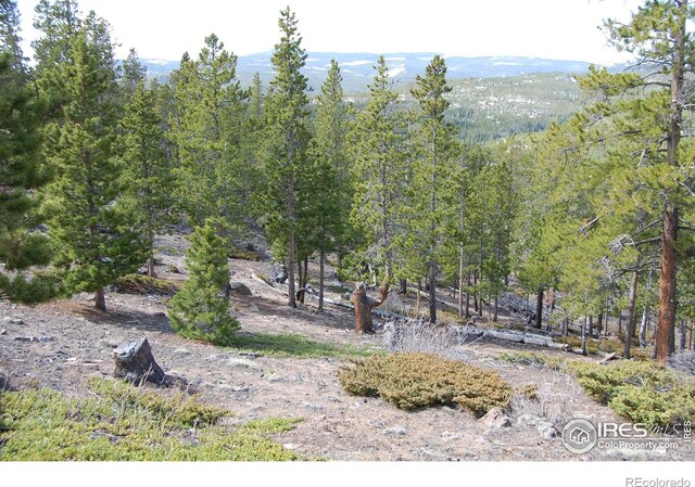 97 Dogrib Ct, Red Feather Lakes, CO 80545