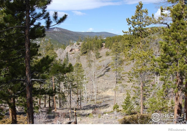 97 Dogrib Ct, Red Feather Lakes, CO 80545