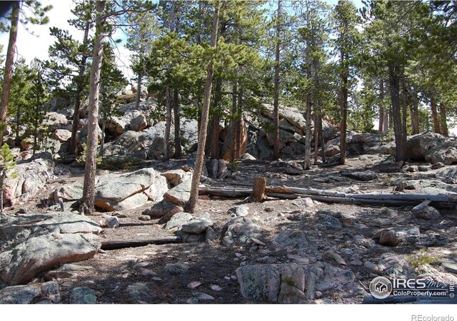 97 Dogrib Ct, Red Feather Lakes, CO 80545