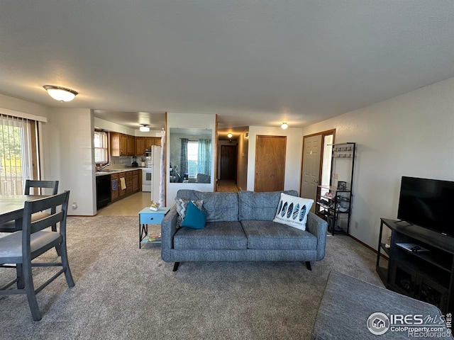 910 H Ave, Limon, CO 80828 - living room featuring baseboards and light colored carpet