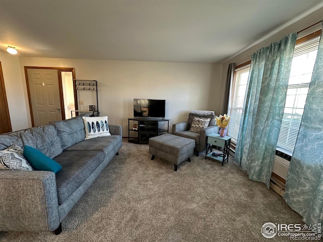 910 H Ave, Limon, CO 80828 - living area featuring carpet