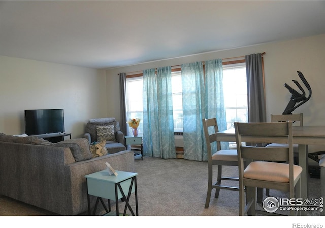 910 H Ave, Limon, CO 80828 - view of carpeted living area