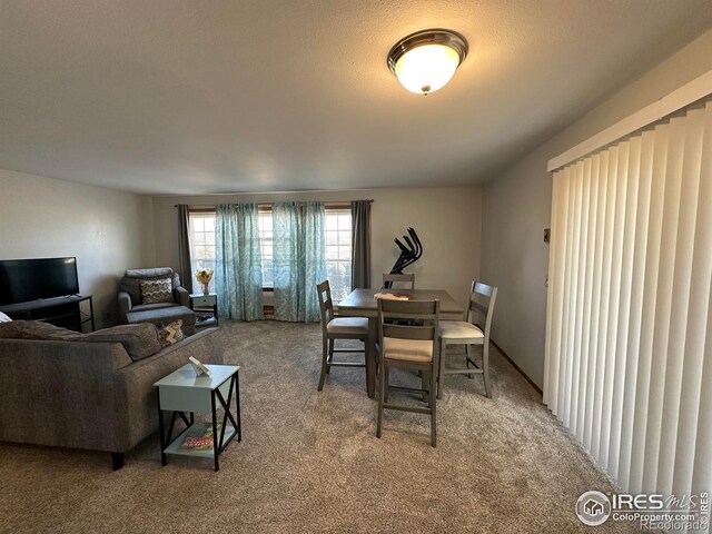 910 H Ave, Limon, CO 80828 - dining room with carpet floors